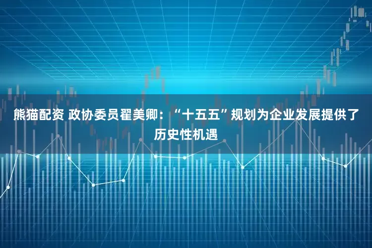 熊猫配资 政协委员翟美卿：“十五五”规划为企业发展提供了历史性机遇